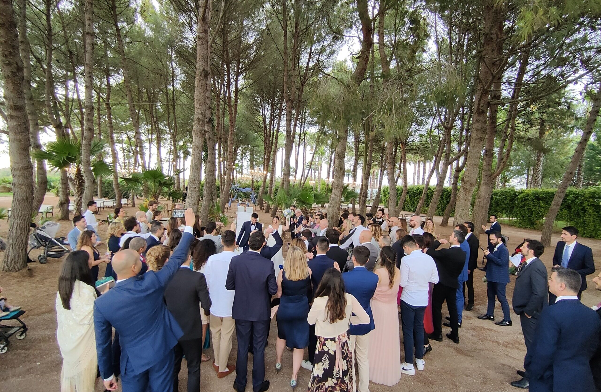 Wedding Coordination in Venue with Pine Trees